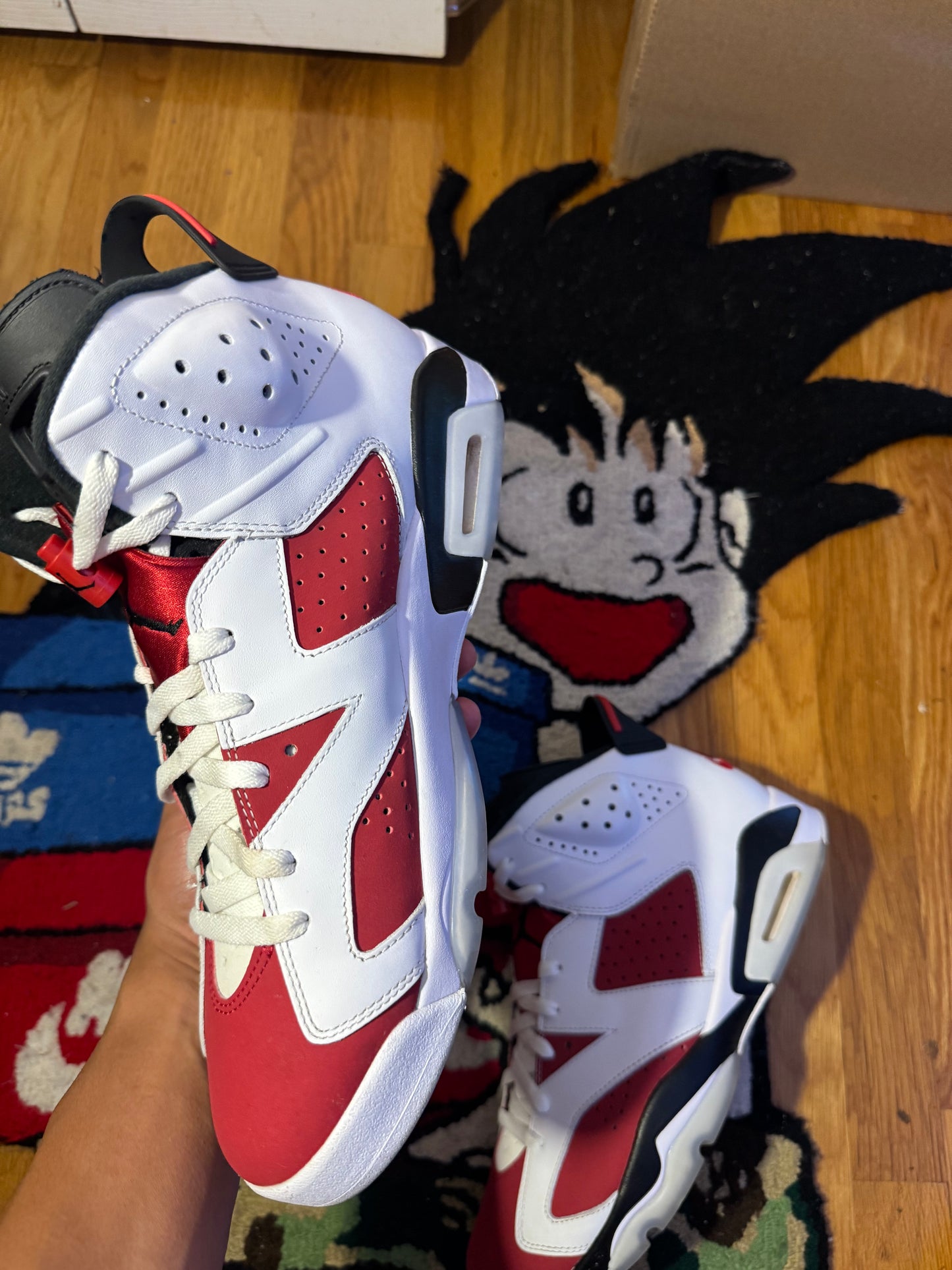 Carmine 6 Sz 12