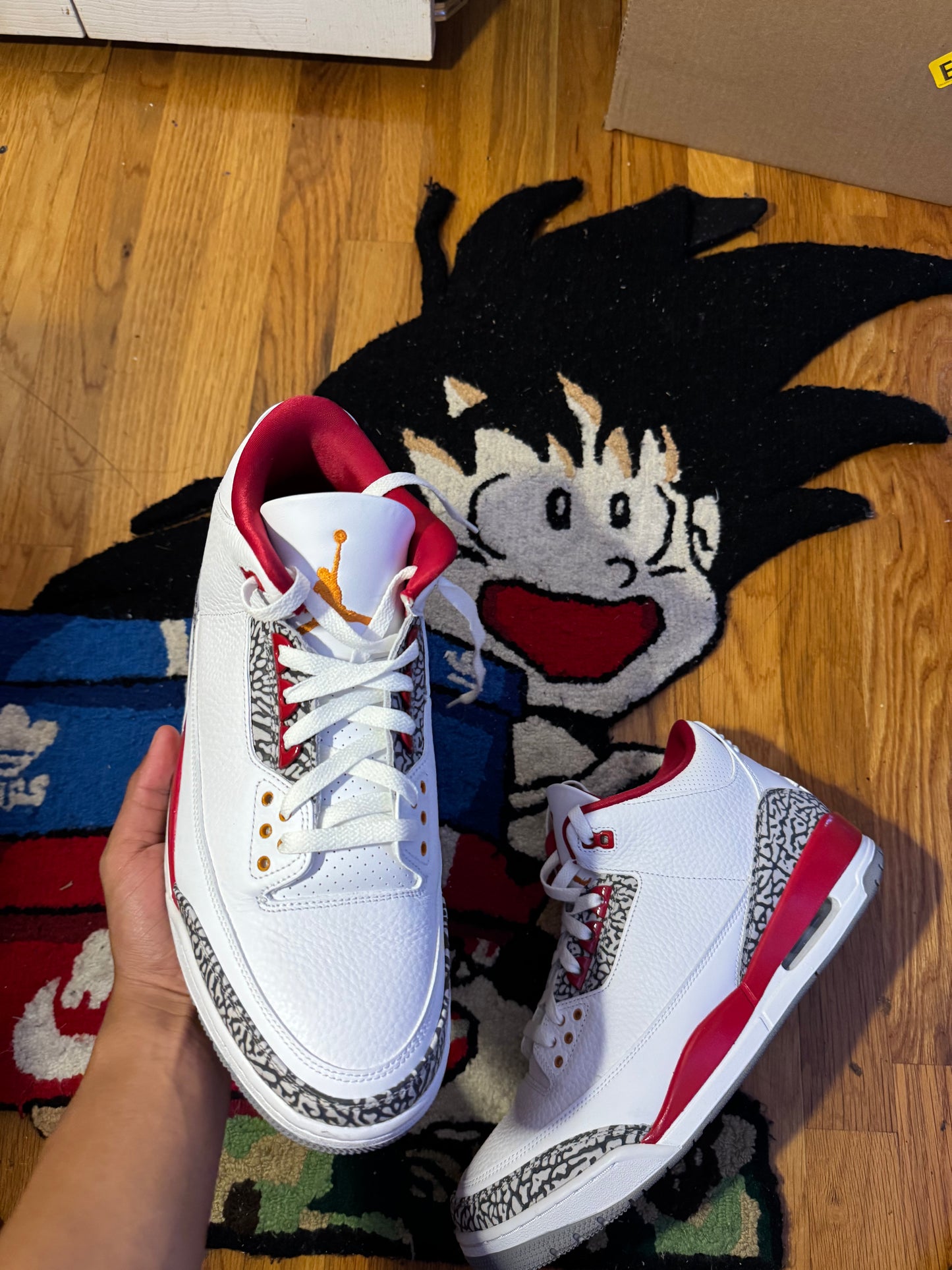 Cardinal 3 Sz 13