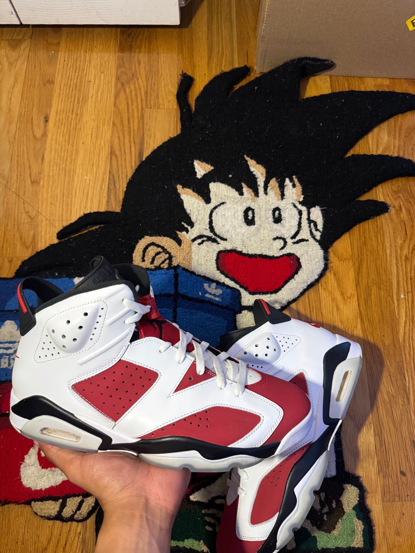 Carmine 6 Sz 12