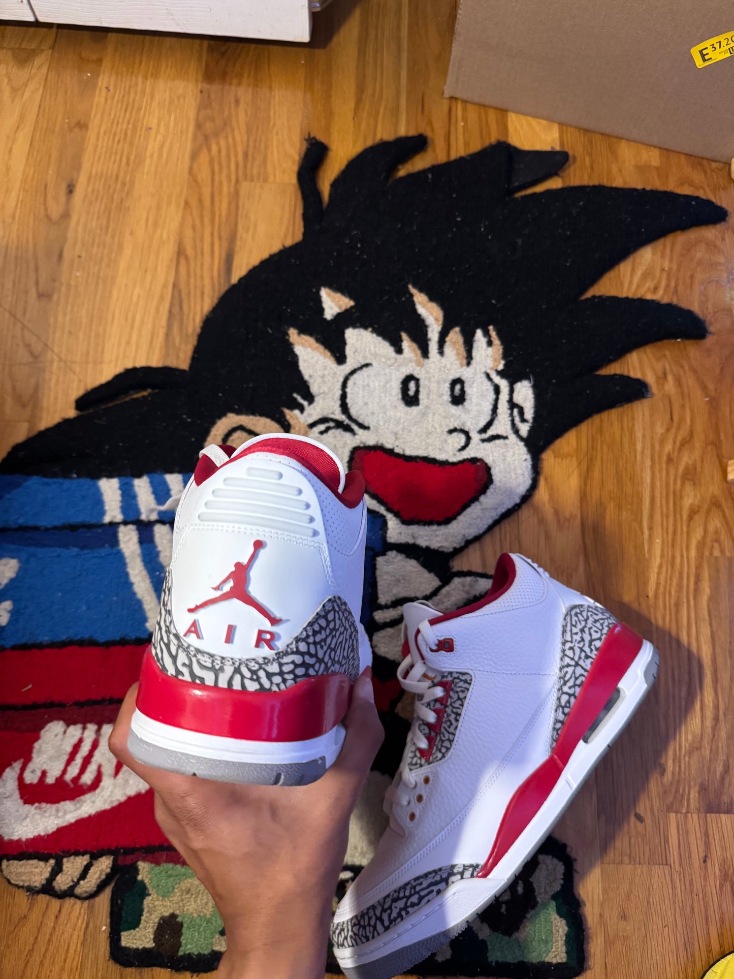 Cardinal 3 Sz 13