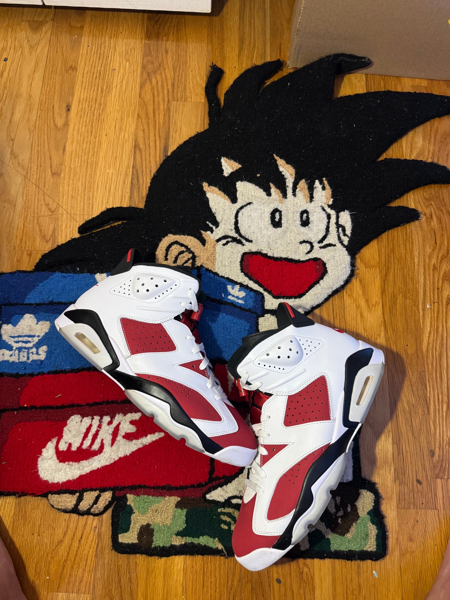 Carmine 6 Sz 12