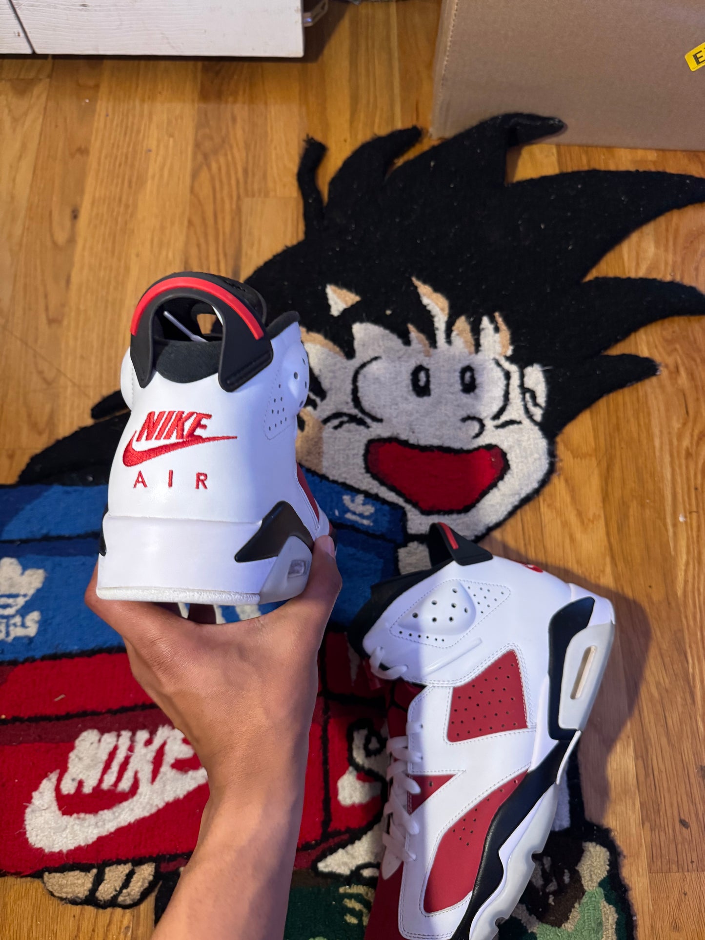 Carmine 6 Sz 12