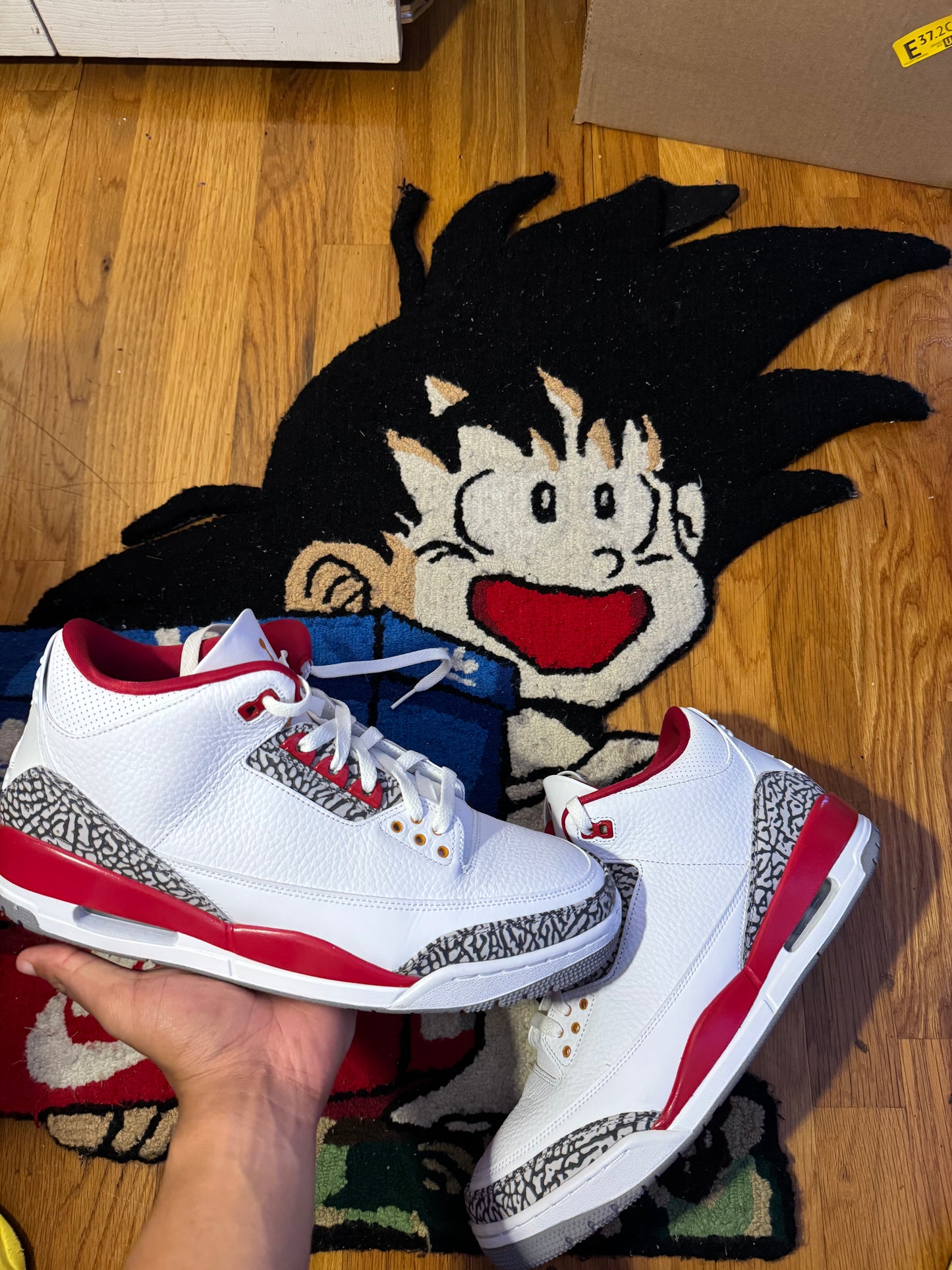 Cardinal 3 Sz 13