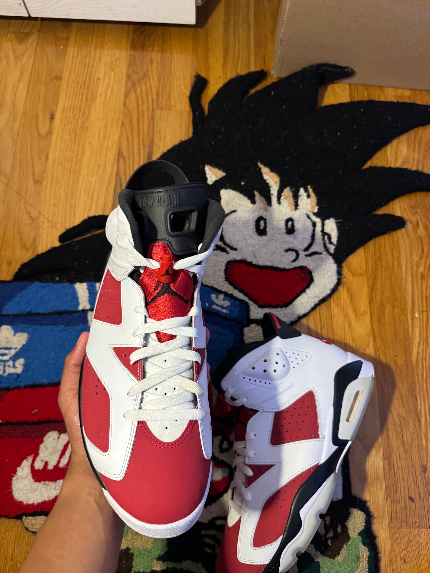 Carmine 6 Sz 12