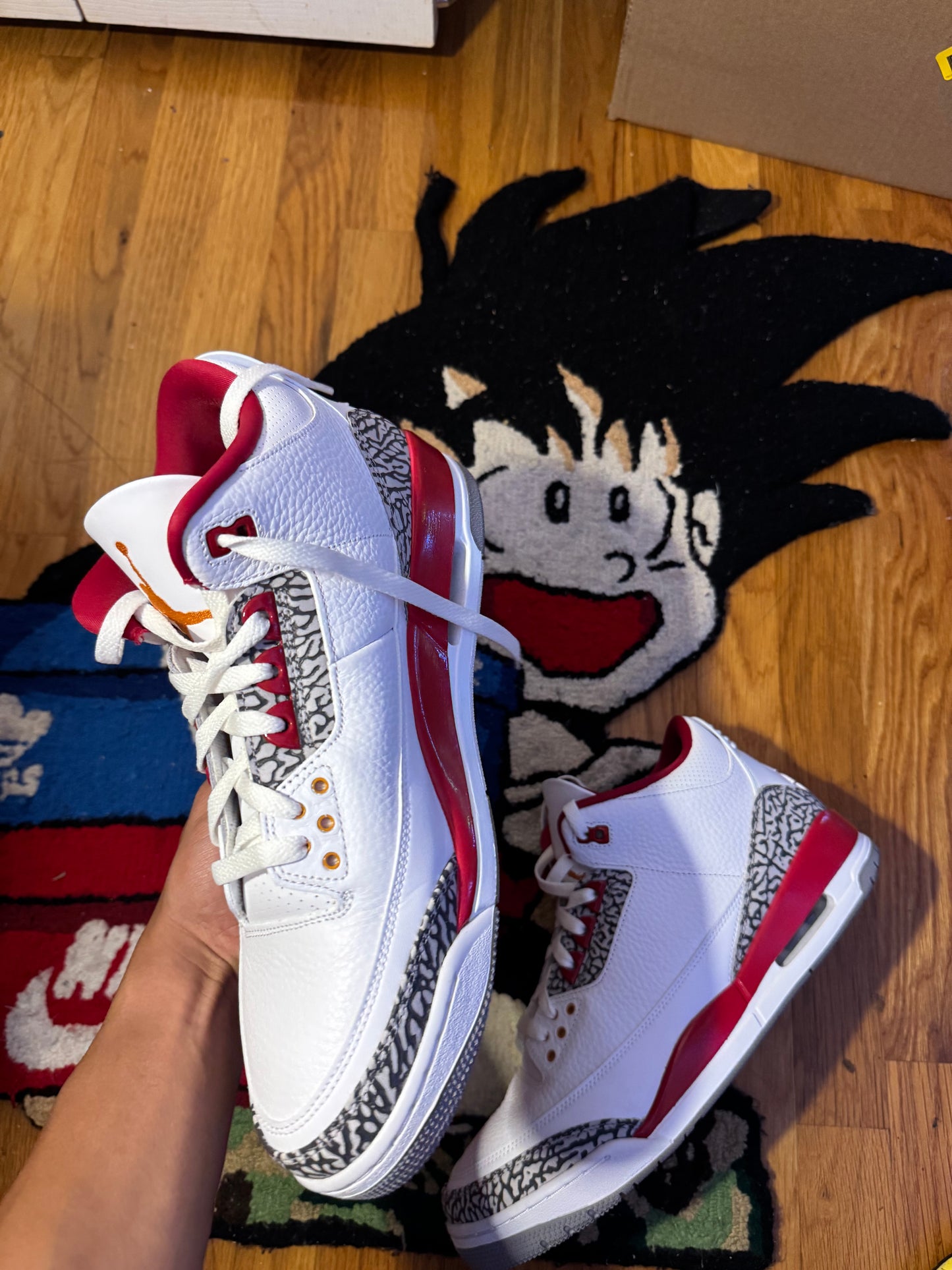 Cardinal 3 Sz 13