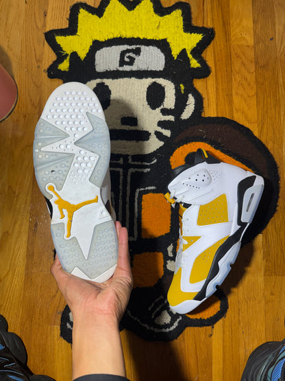 Yellow orchid 6 Sz 12