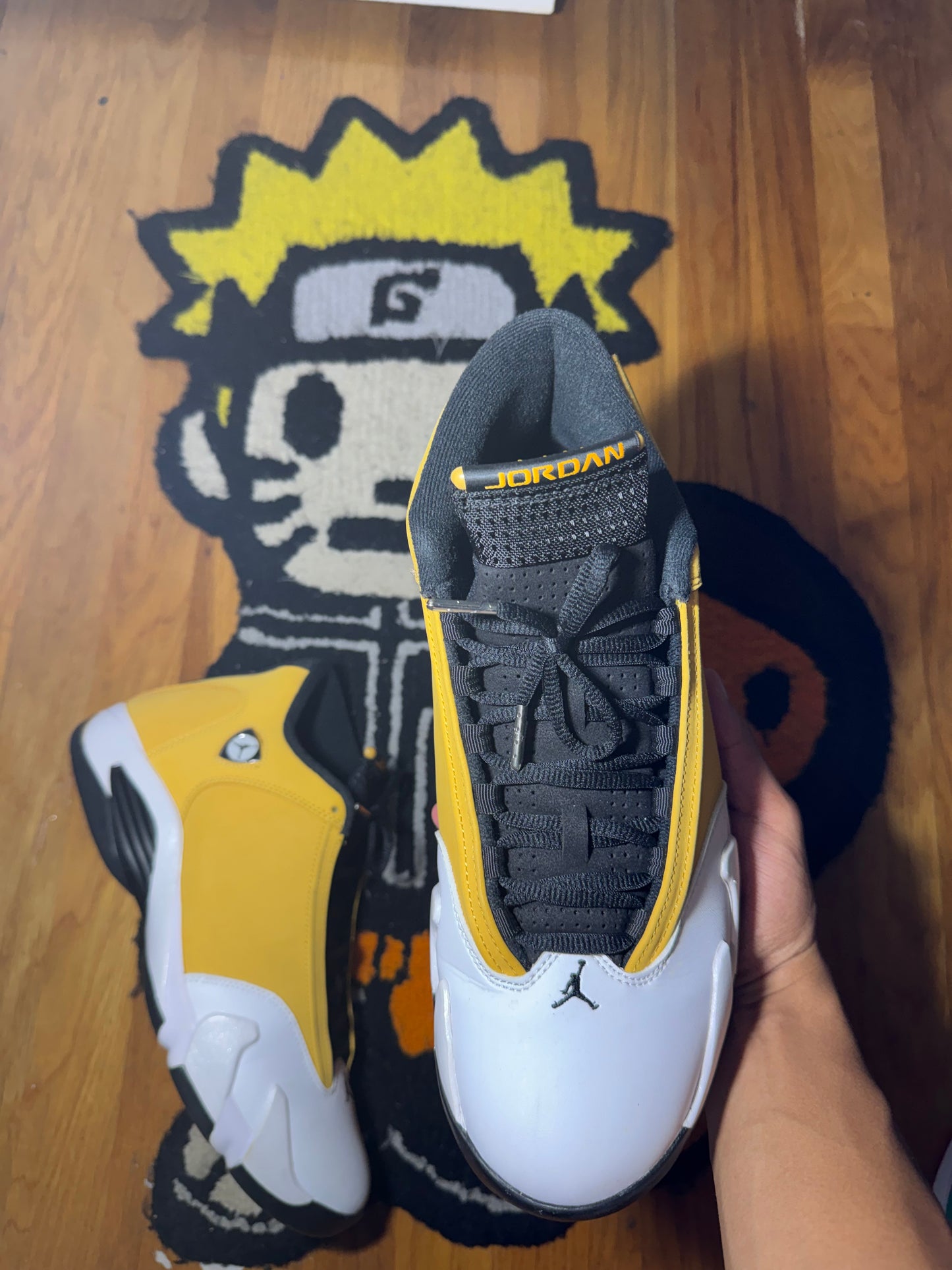 GINGER 14 Sz 12