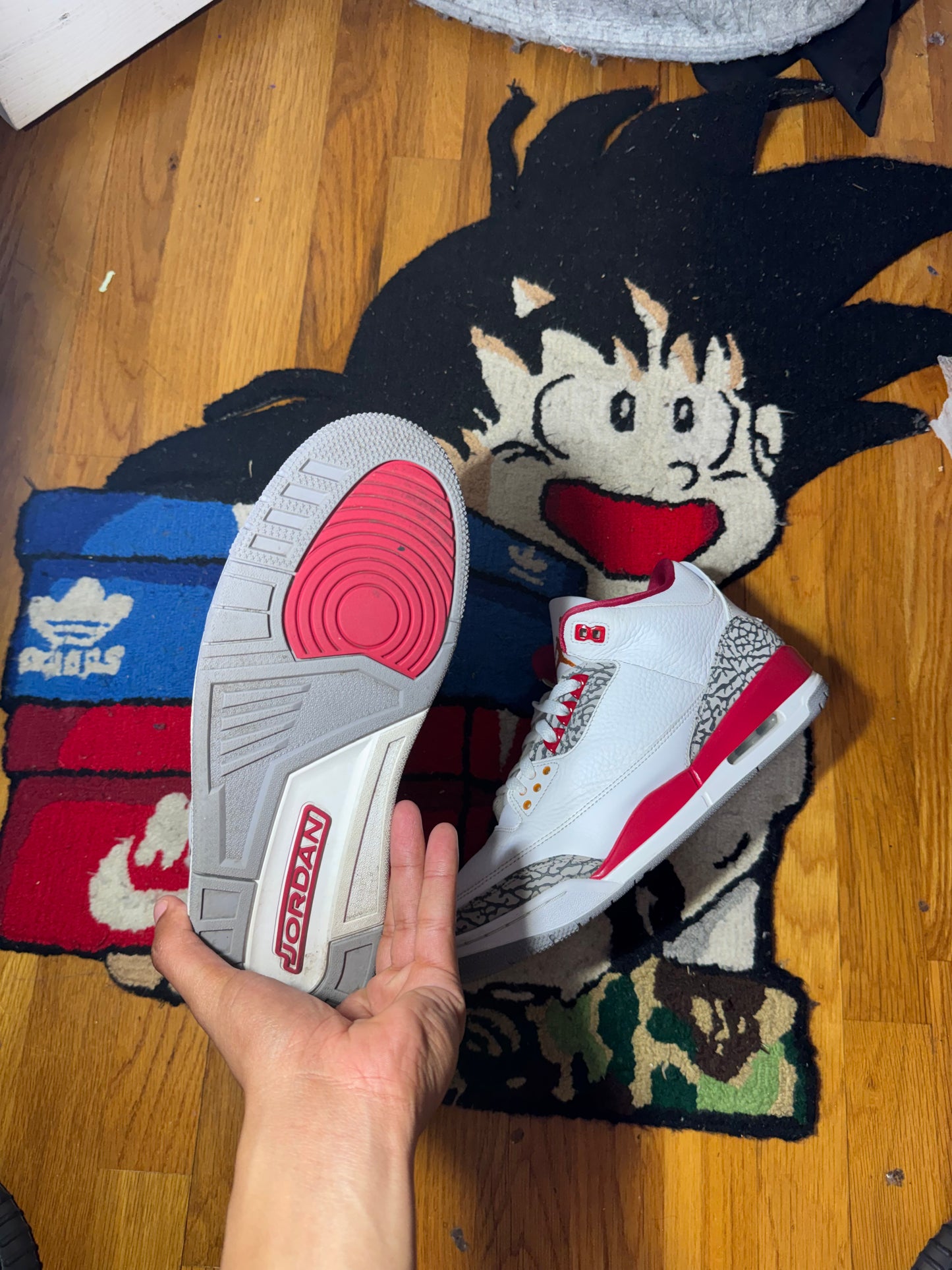 Cardinal 3 Sz 10
