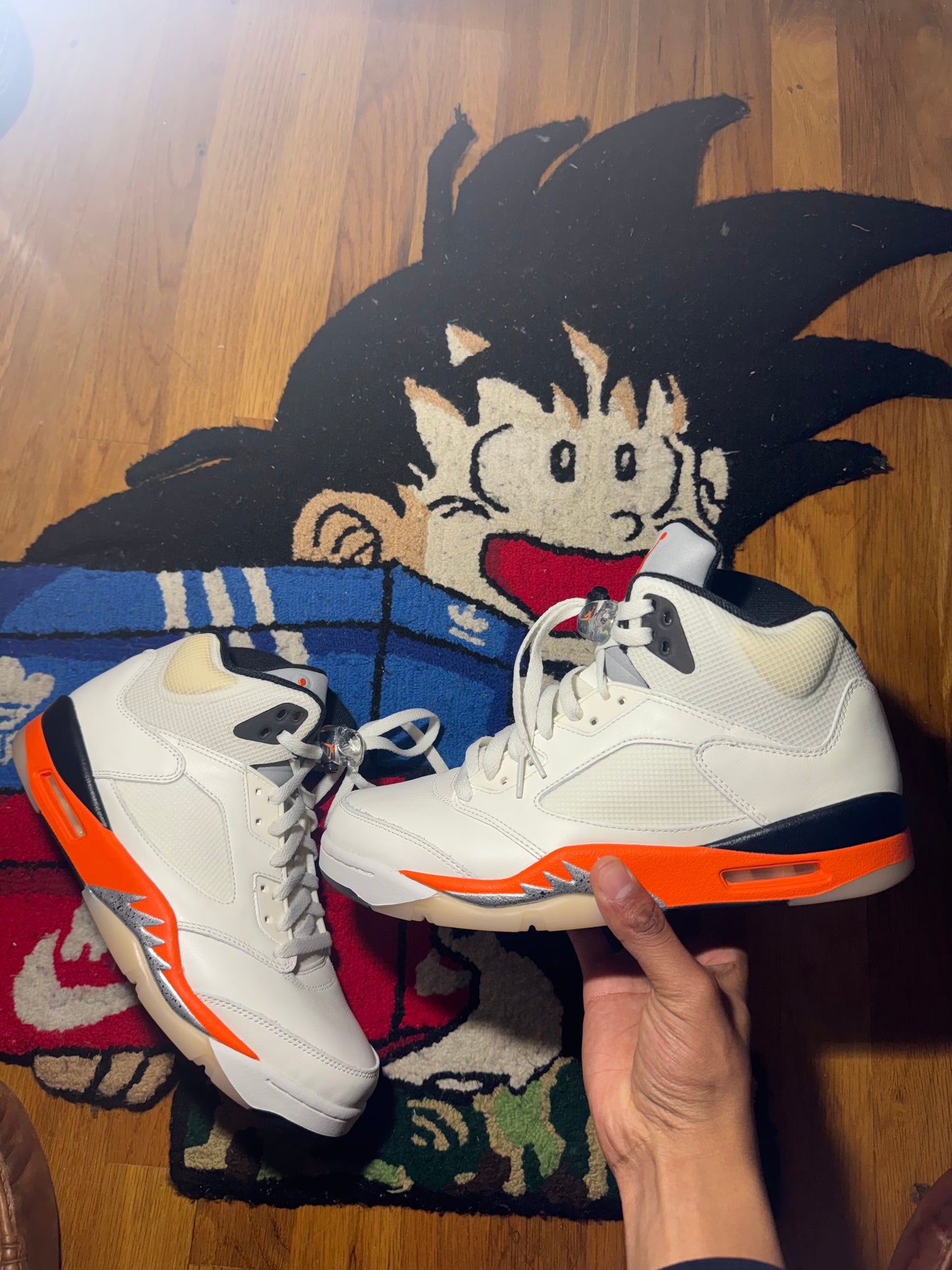 Shattered backboard 5 Sz 10