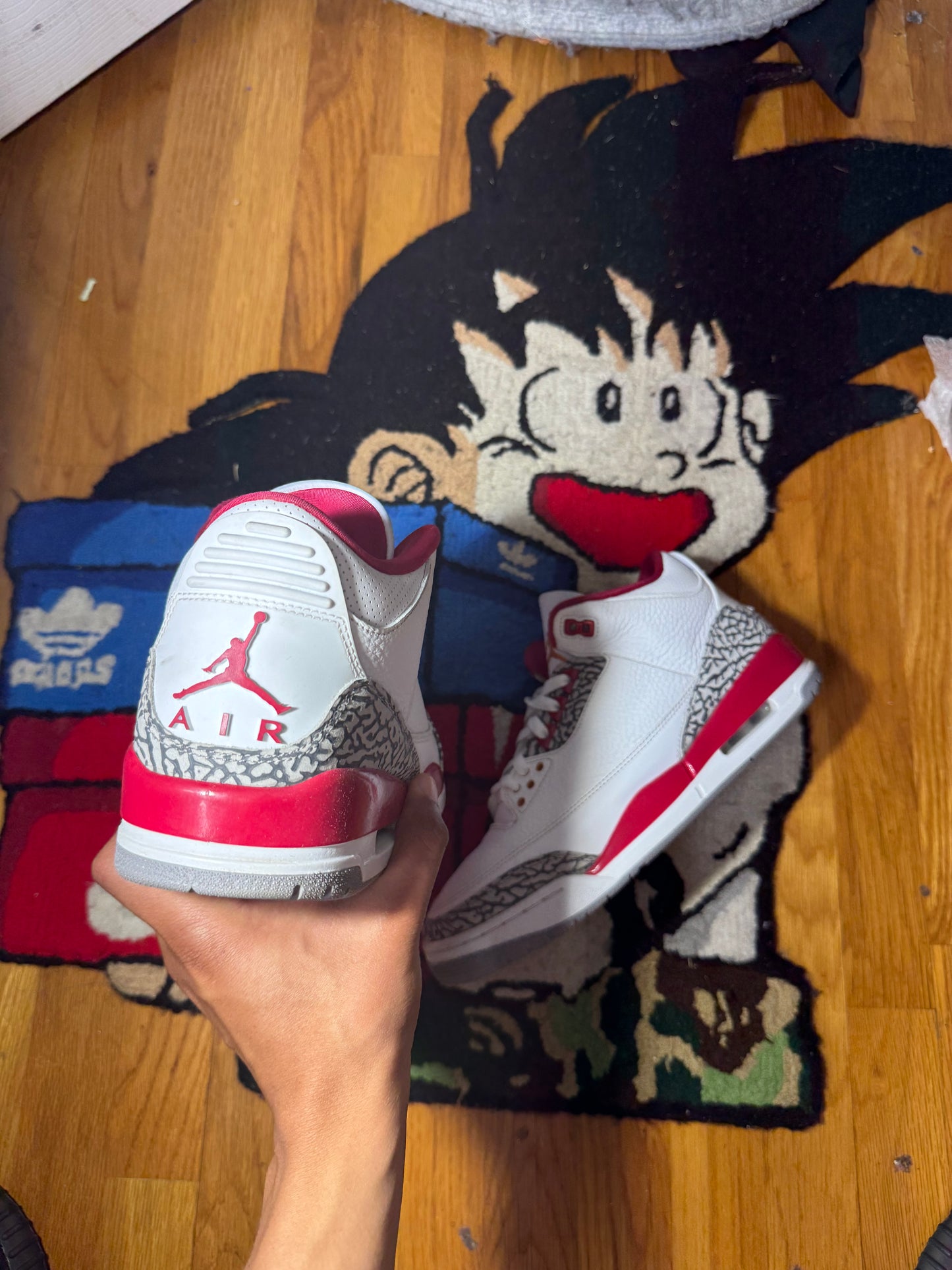 Cardinal 3 Sz 10