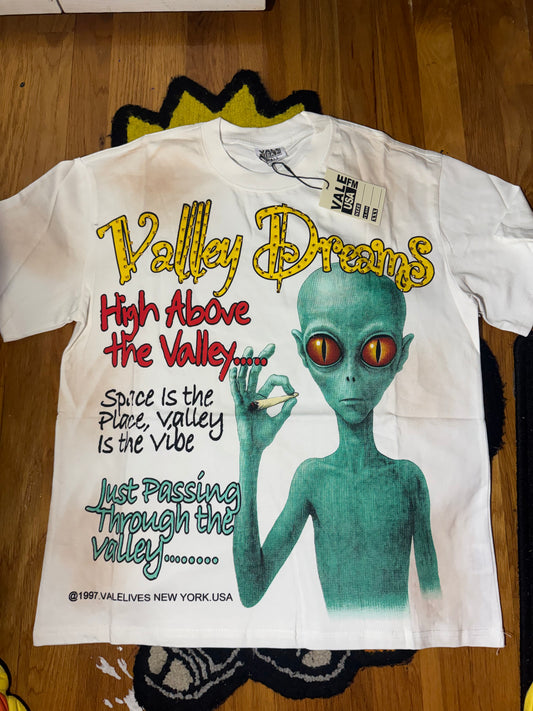 VALLEY MEDIUM