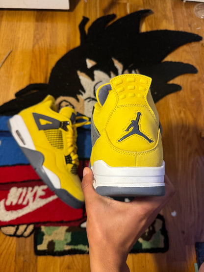 Lighting 4 Sz 12