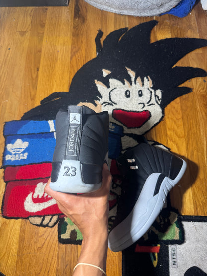 Baron 12 Sz 11.5