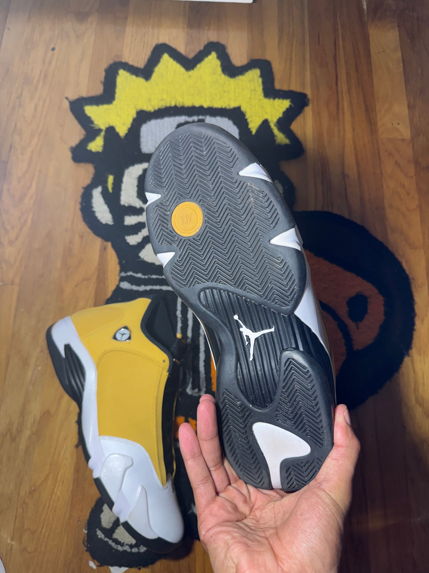 GINGER 14 Sz 12