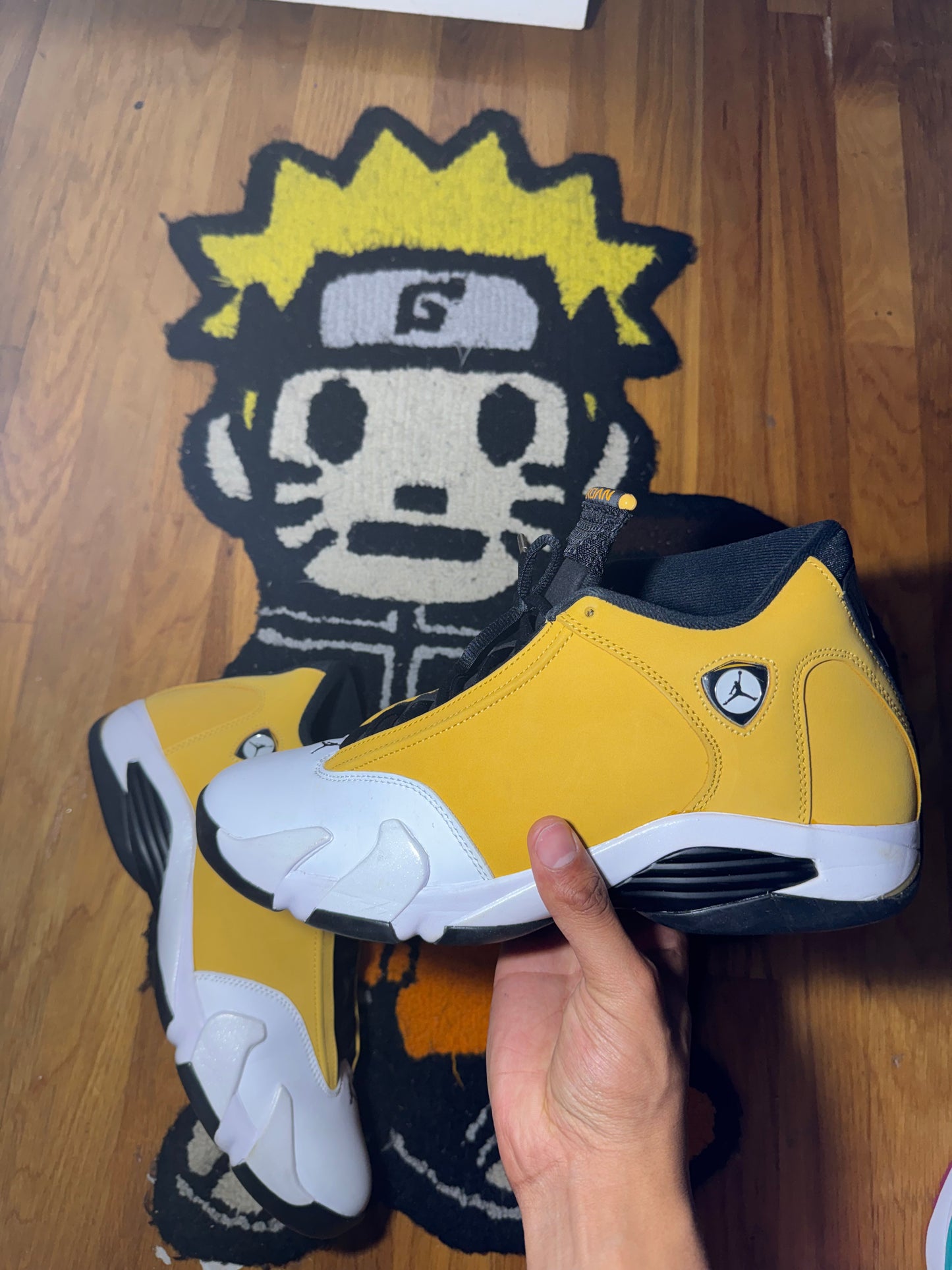 GINGER 14 Sz 12