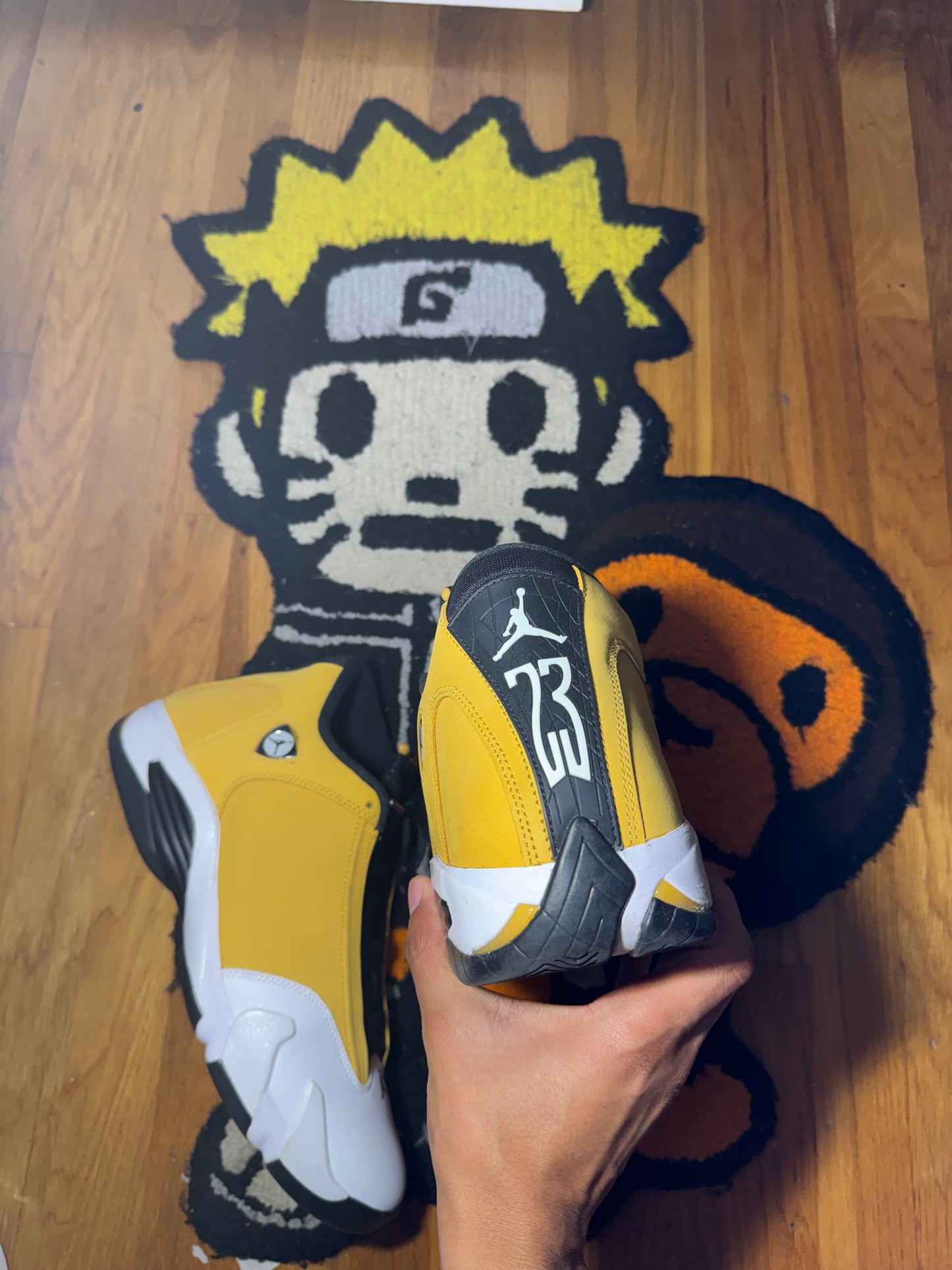 GINGER 14 Sz 12
