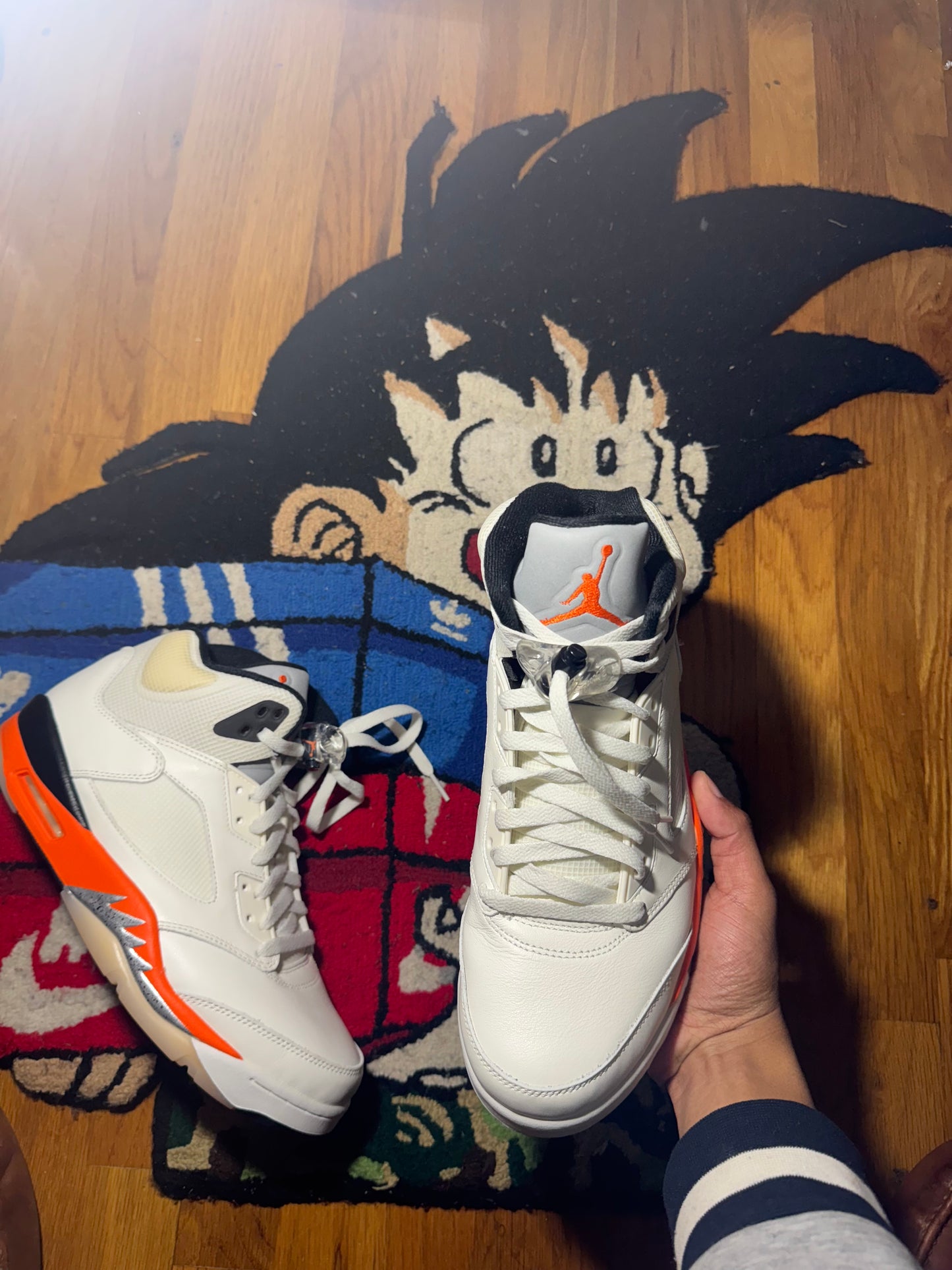 Shattered backboard 5 Sz 10