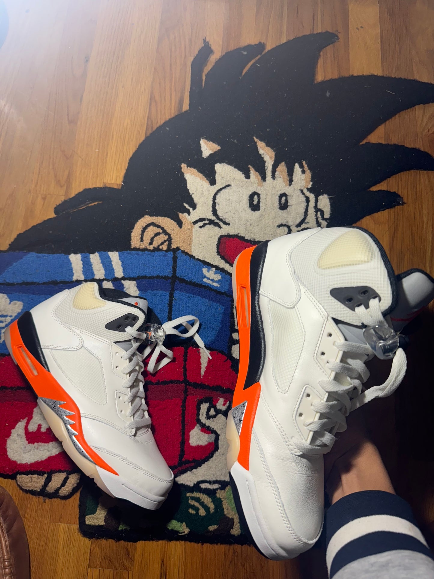 Shattered backboard 5 Sz 10